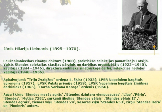 Lielmanis